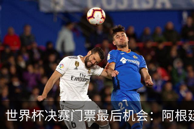 世界杯决赛门票最后机会：阿根廷对西班牙，起价9000美元