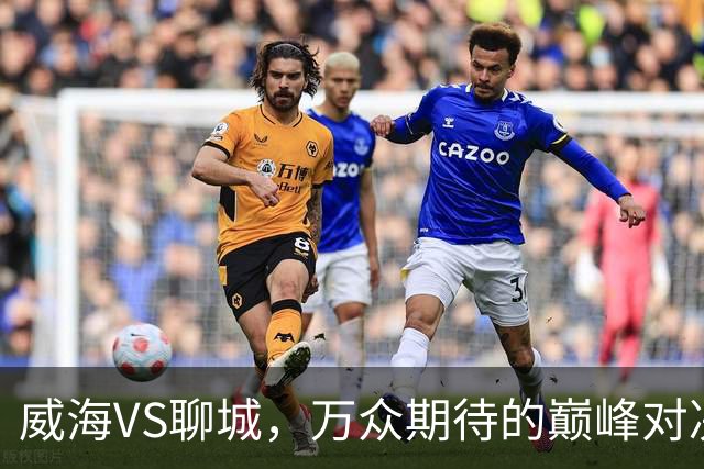 威海VS聊城，万众期待的巅峰对决，就在本周六！（文末票根福利）